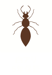 白アリ5年保証