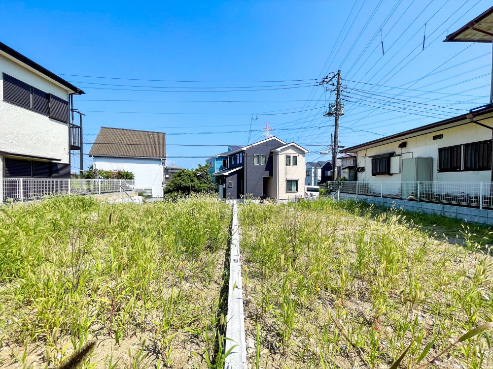 販売現地