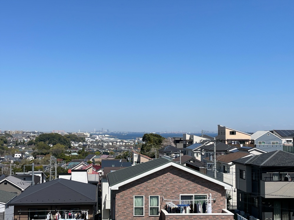 現地からの眺望